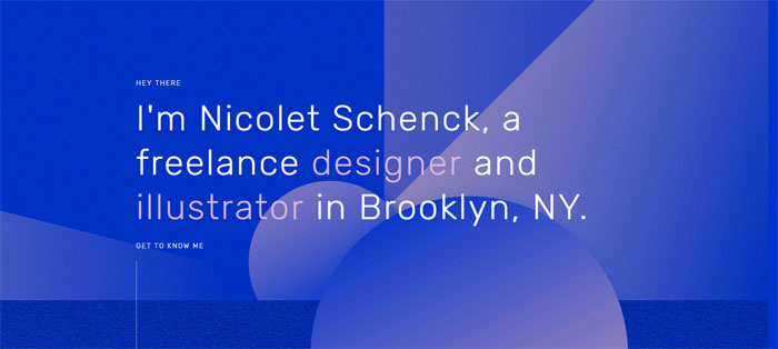 Nicolet-Schenck Portfolio Website Examples And Tips To Create Them
