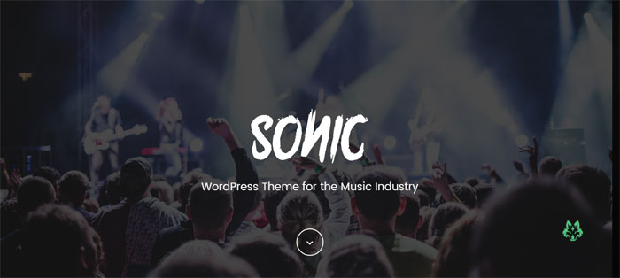 SONIC WordPress Themes for Musicians (46 WP Themes)