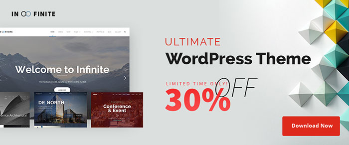 image013 Best WordPress Themes for Startups and Small Businesses