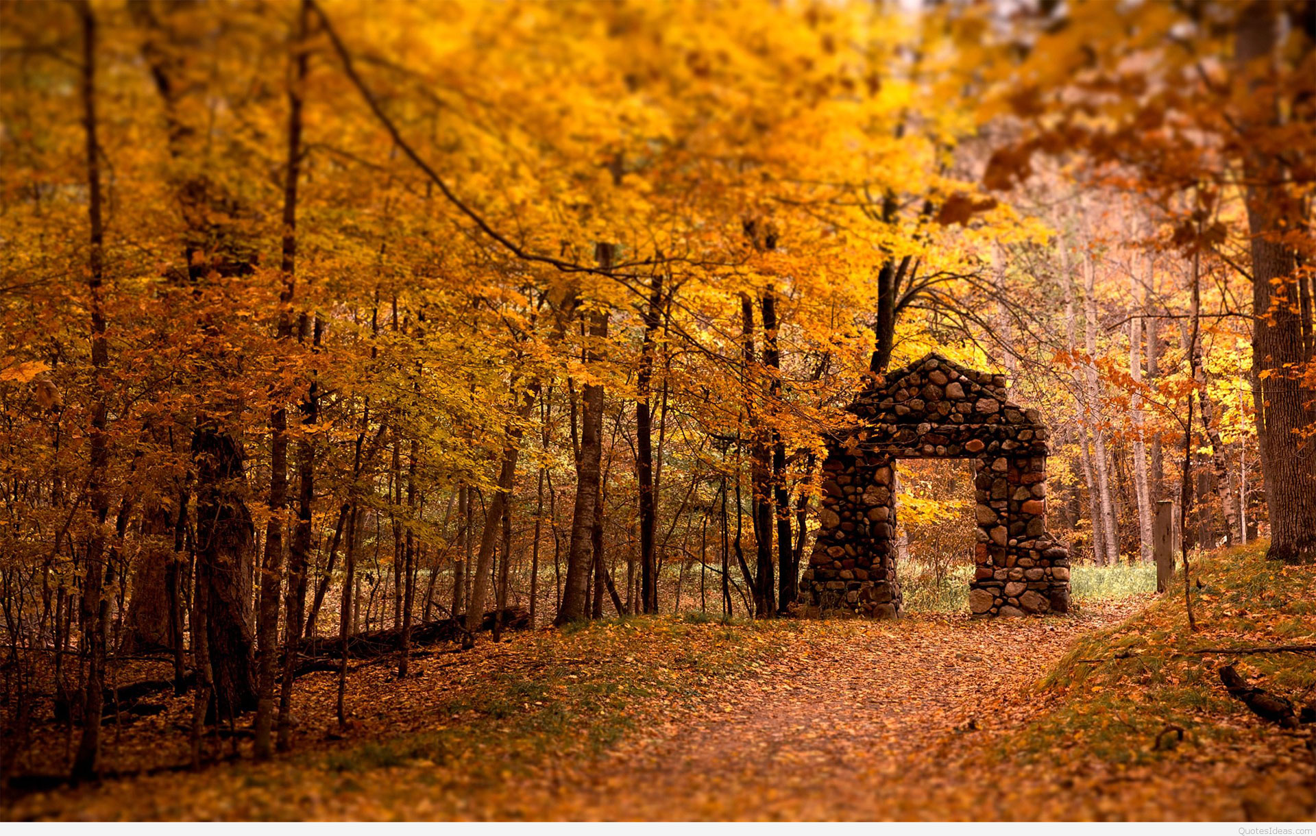Best-Autumn-wallpaper Autumn Wallpaper Examples for Your Desktop Background