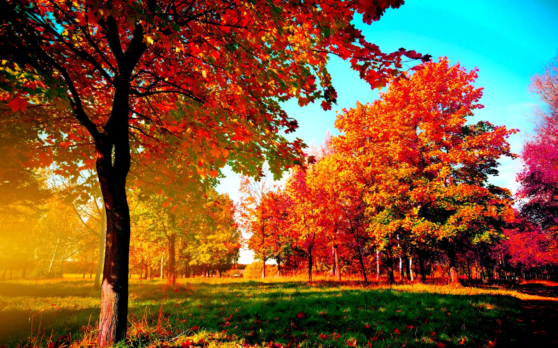 autumn desktop wallpaper