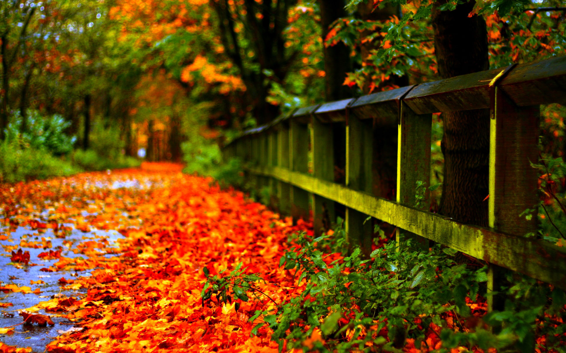 ualjBW Autumn Wallpaper Examples for Your Desktop Background