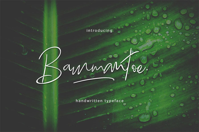 Bammantoe-Typeface Signature Font Examples: Pick The Best Autograph Font