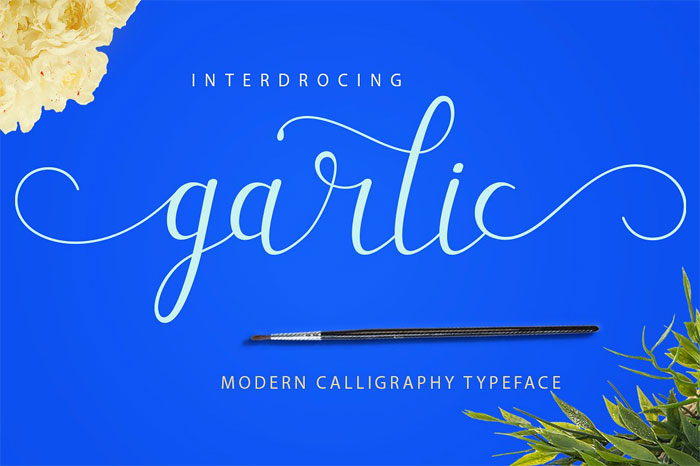 Garlic Signature Font Examples: Pick The Best Autograph Font