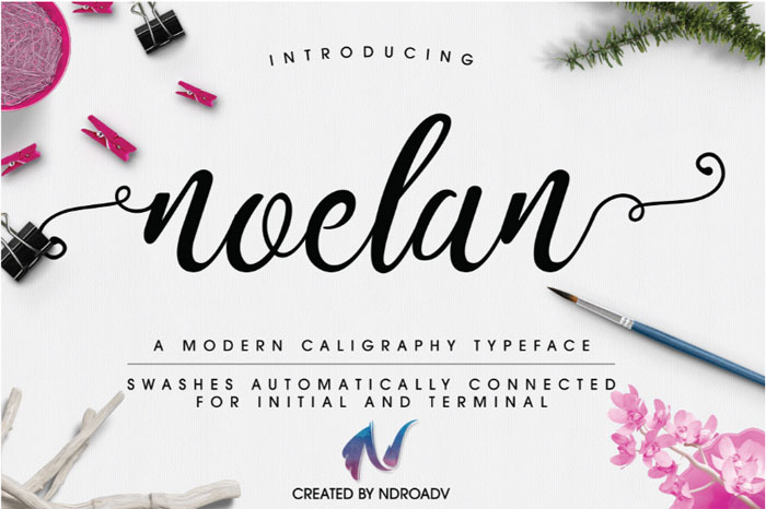 Noelan Signature Font Examples: Pick The Best Autograph Font