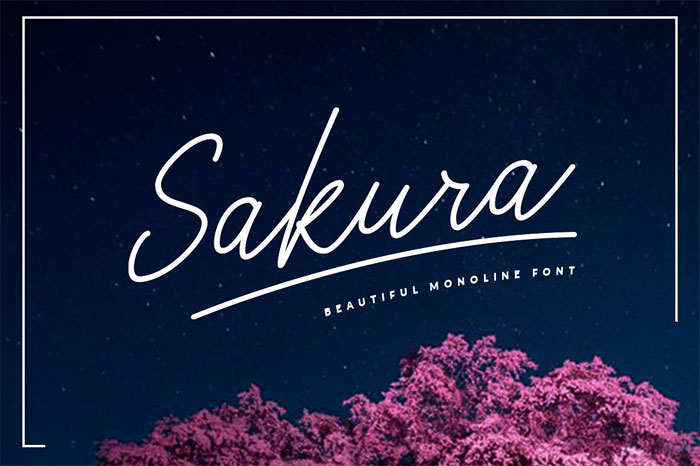 Sakura Signature Font Examples: Pick The Best Autograph Font