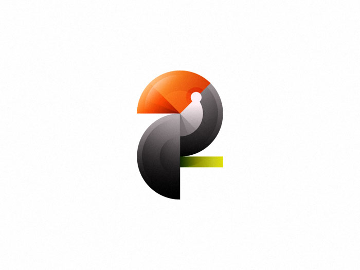 tucano Bird Logo Design: Examples and Bird Symbolism