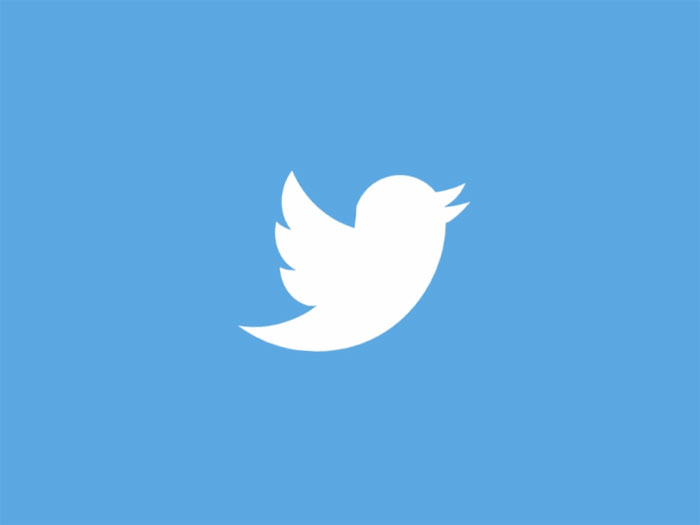 twittercelebration Bird Logo Design: Examples and Bird Symbolism