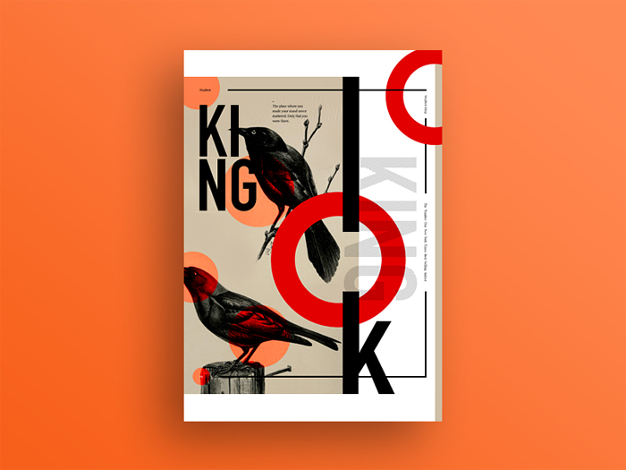 king Book Cover Design: Ideas, Layout, Fonts, And How to Create One