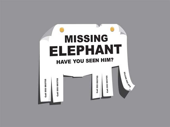 missing_elephantd T-Shirt Design Ideas That Will Inspire You to Design a T-Shirt