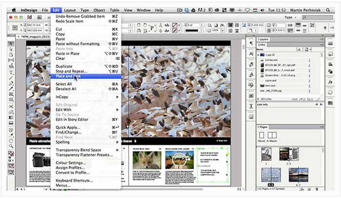Place-and-Link-Multiple-Ins Adobe InDesign tutorial examples that will teach you how to use InDesign