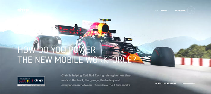 Red-Bull-Racing-Citrix Web Design Basics: What Makes A Good Website