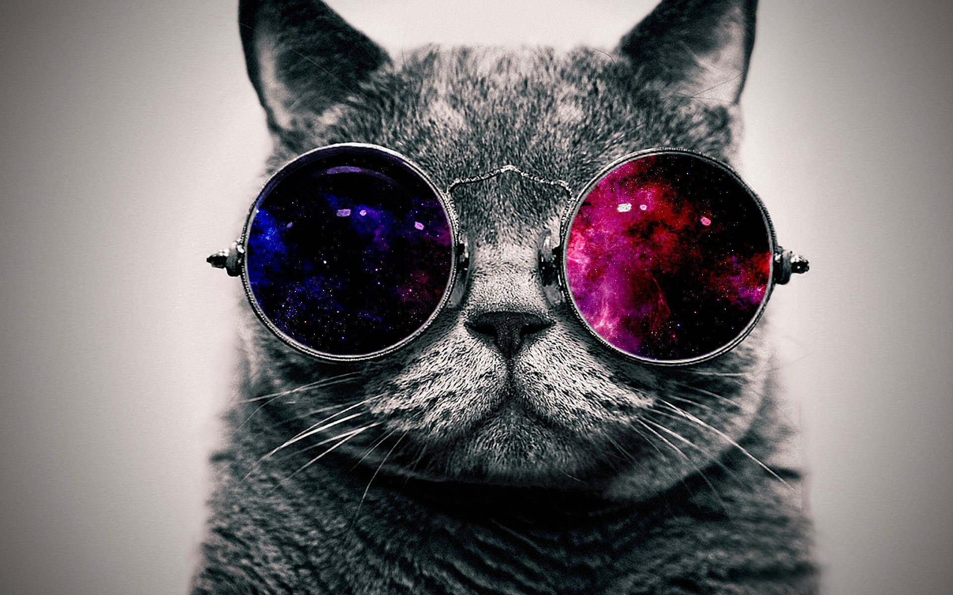 awesome-cat-background-1 Cool Desktop Backgrounds: 40 Cool Wallpapers