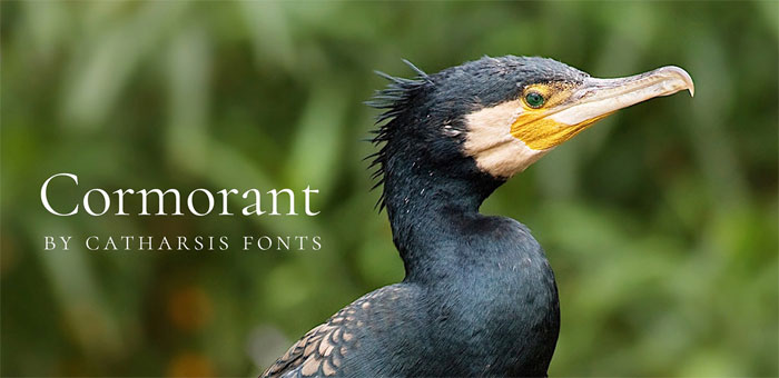Cormorant Download These Fonts Free For Commercial Use