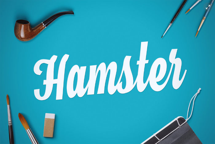 Hamster Retro Fonts: Free Vintage Fonts To Download