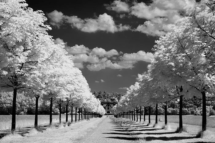 ZN8hJsn-700x466 Black and White Photography: Monochrome Pictures That You’ll Love