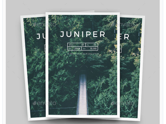 Juniper-Magazine-Portfolio Free magazine mockup examples you should check out