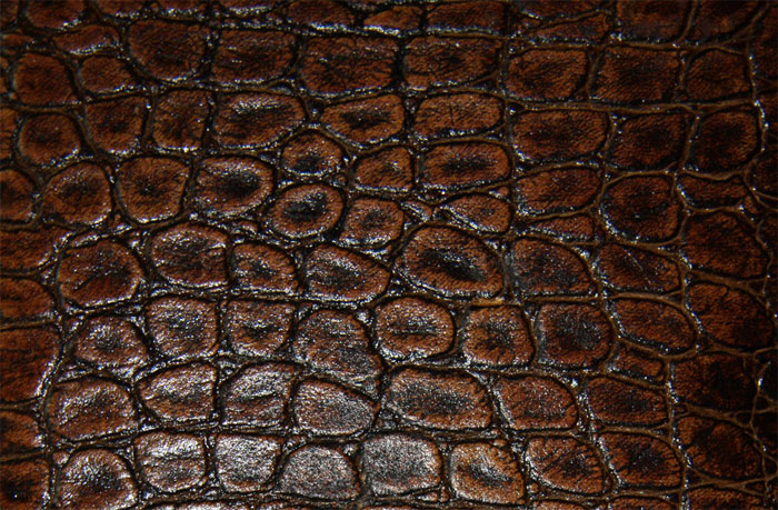 leather_1_by_dragonfly113_s Free leather texture examples to download for your design projects
