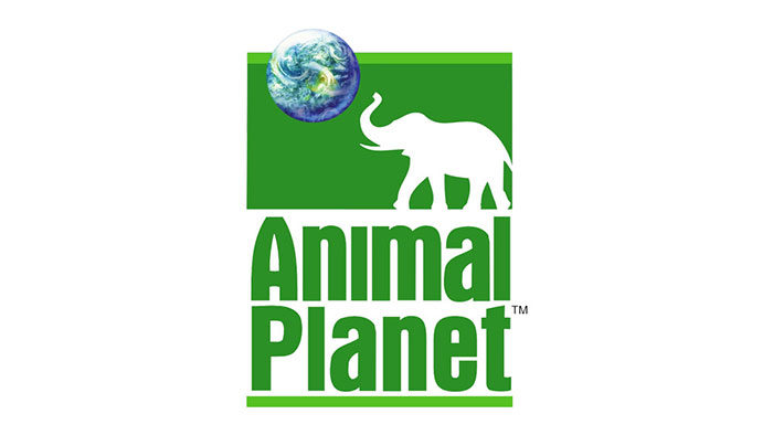 animal-planet-old-logo-700x394 Animal logo design ideas and guidelines to create one