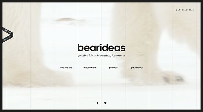 bearideas site design