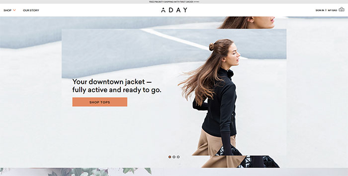ADAY site design