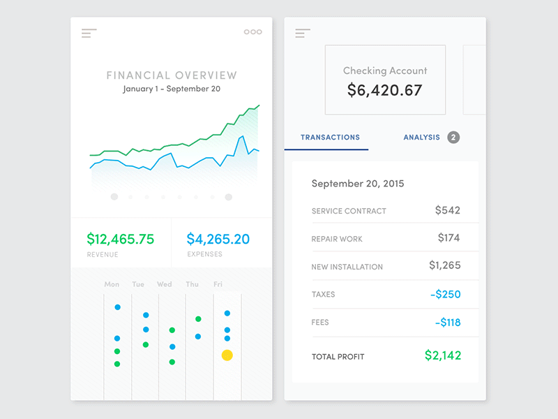 Financial Management App (Animation Concept)