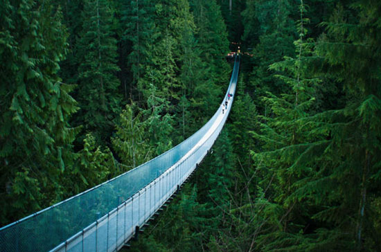 The Capilano suspension bridge in Vancouver Amazing Photography