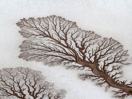 Fractal patterns in dried out desert rivers Amazing Photography