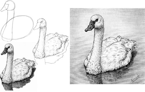 Swan tutorial