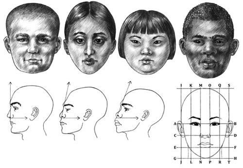Adult Facial Proportions tutorial