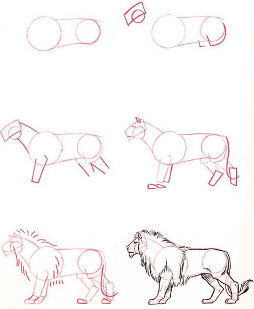 portrait drawing tutorial. animal drawing tutorials