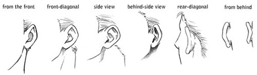 tutorials_howtodraw_ears The Best Drawing Tutorials: Learn How To Draw