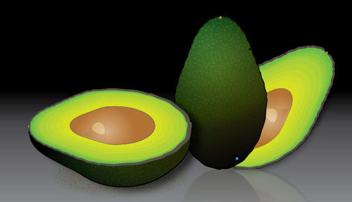 Create a Stylized Avocado Adobe Illustrator tutorial