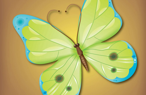 How to Make an Attractive Vector Butterfly Adobe Illustrator tutorial
