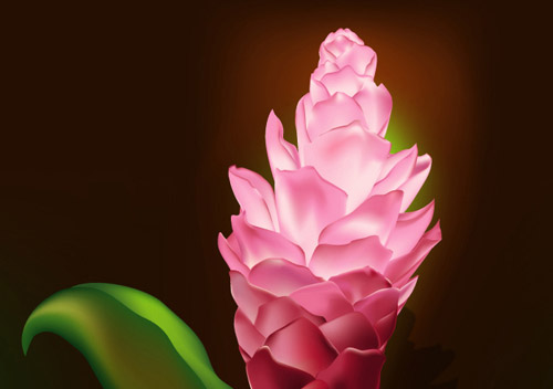 Gradient Mesh Flower Adobe Illustrator tutorial