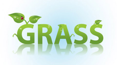 Grass text effect Adobe Illustrator tutorial