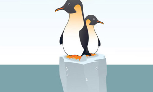 Create a Penguins Adobe Illustrator tutorial