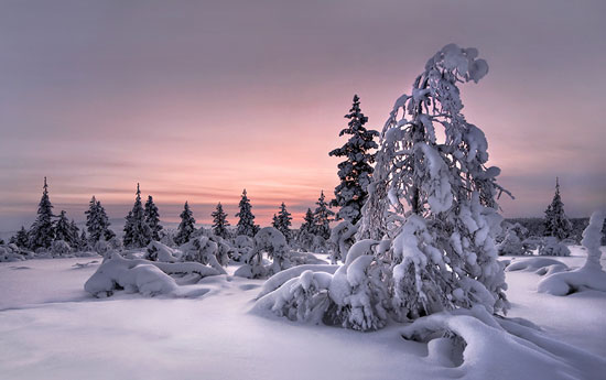 Lappland Fotografia