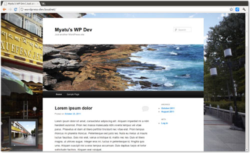 Background Manager WordPress plugin