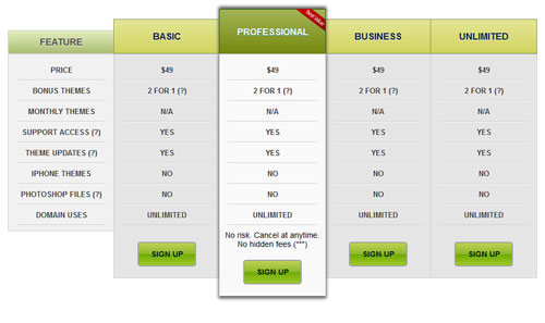 Pricing Table WordPress plugin