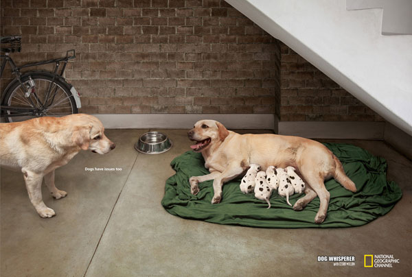 Dogs-have-issues-too Advertisement Ideas: 500 Creative And Cool Advertisements