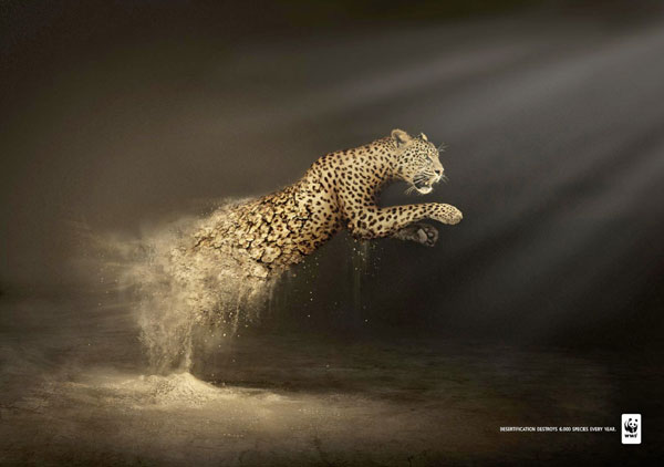 Desertification-destroys-6.000-species-every-year Advertisement Ideas: 500 Creative And Cool Advertisements