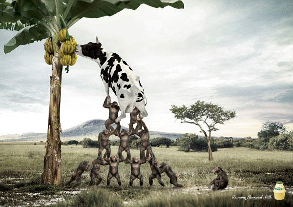 Banana-flavored-milk Advertisement Ideas: 500 Creative And Cool Advertisements