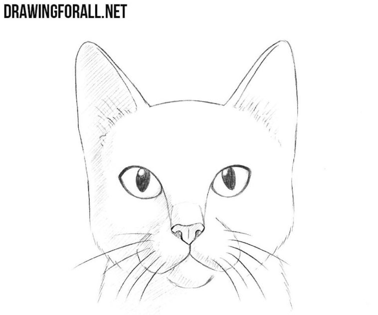 How to draw a cat face and silhouette with easy step by step tutorials
