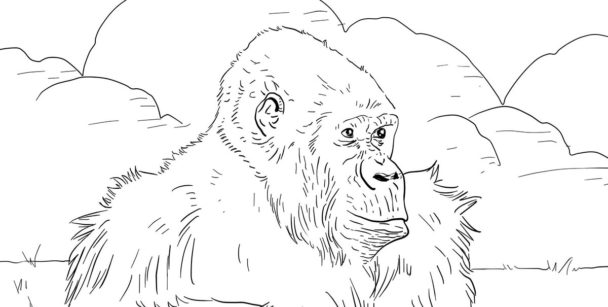 965490_drawings-monkey-realistic - Artly