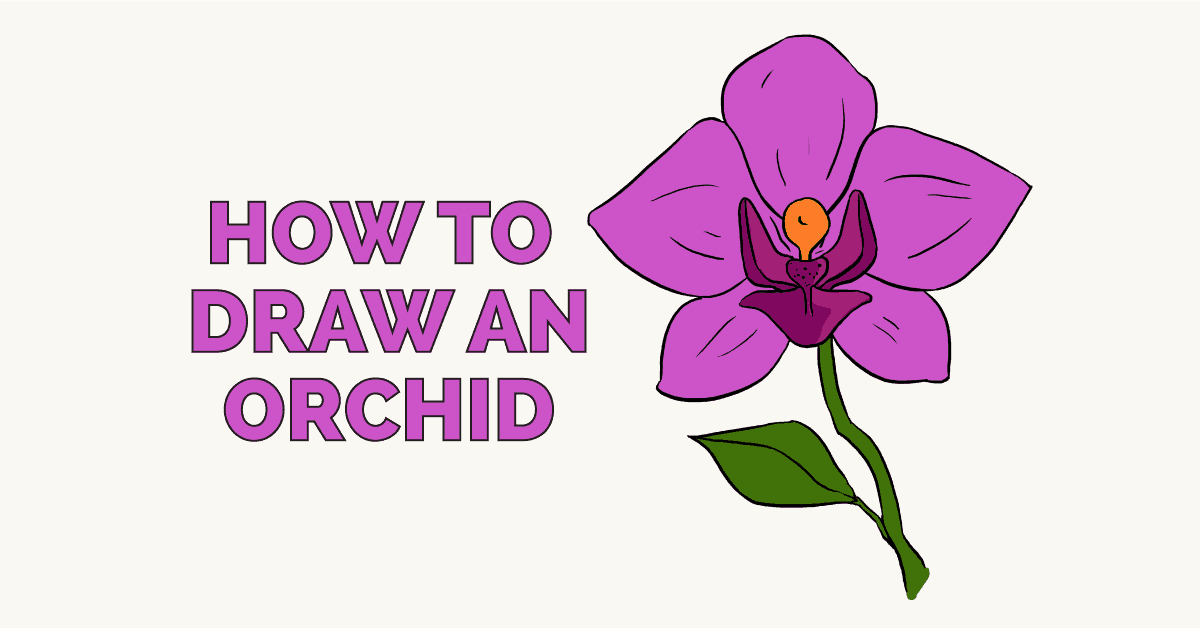 How To Draw A Flower With These Easy Step By Step Tutorials For Kids,Diy Gifts For Friends During Quarantine