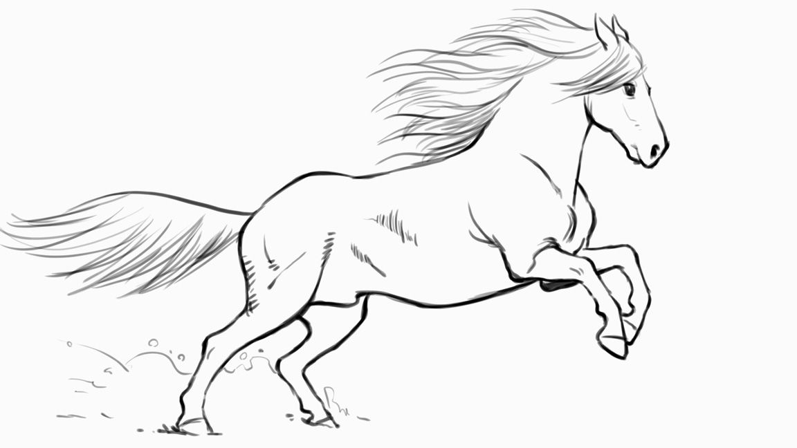 Horses & Ponies (Drawing Made Easy): Getha, Patricia: 9781600581588:  Amazon.com: Books