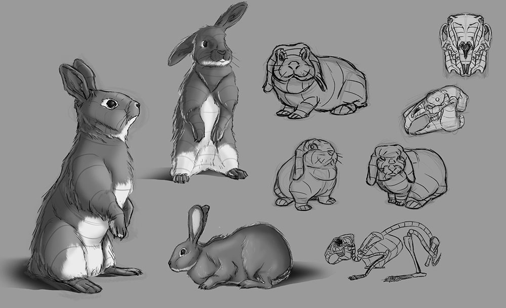 How to draw a rabbit (bunny) easily [Tutorials for beginners]