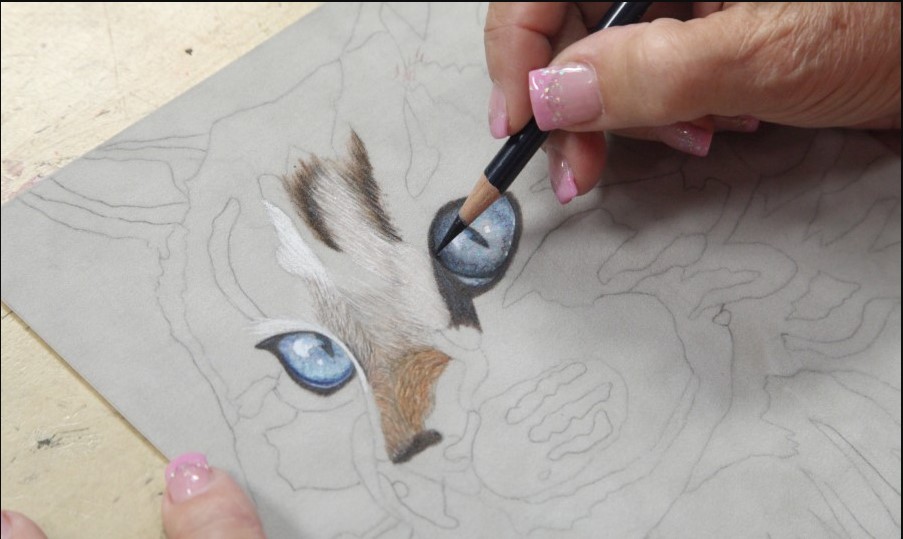 cat-eye How to draw a cat face and silhouette with easy step by step tutorials