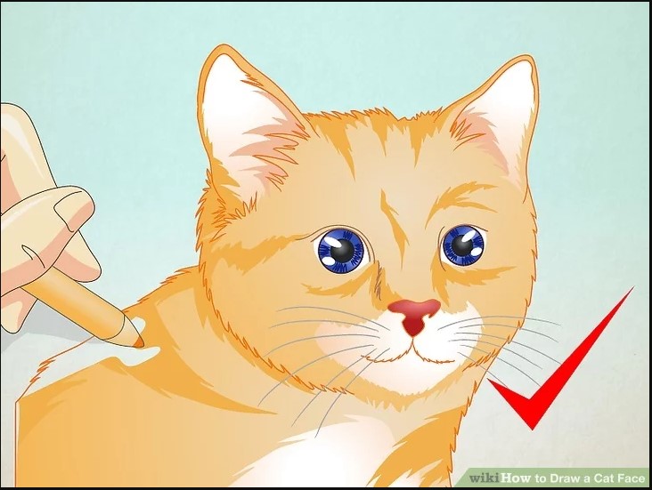 cat How to draw a cat face and silhouette with easy step by step tutorials